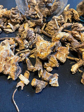 Load image into Gallery viewer, Ocha Root (Respiratory Support)