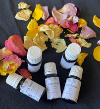 Load image into Gallery viewer, Patchouli (Pogostemon cablin)